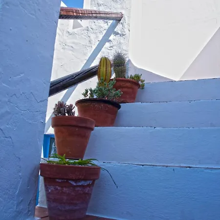 La Terraza Azul House Wifi Terraza Solarium Holiday home